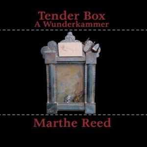 Tender Box: A Wunderkammer