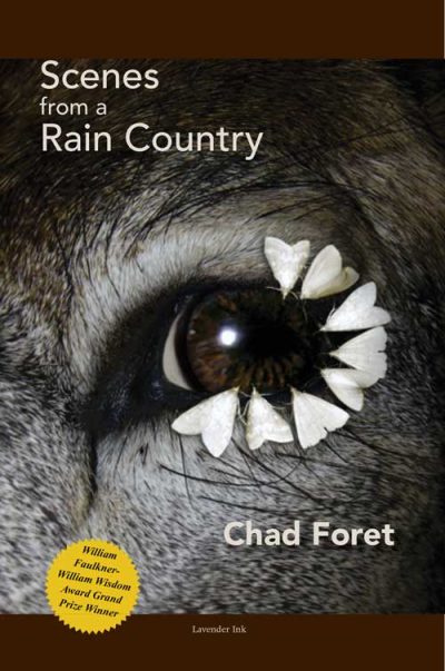 Scenes from a Rain Country
