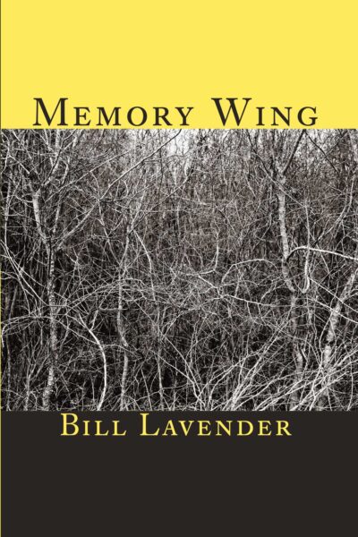 Memory Wing
